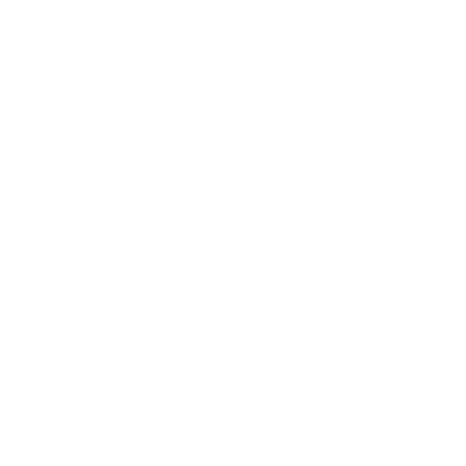 foot-02.png