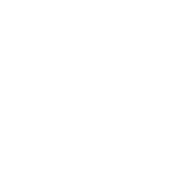 foot-03.png