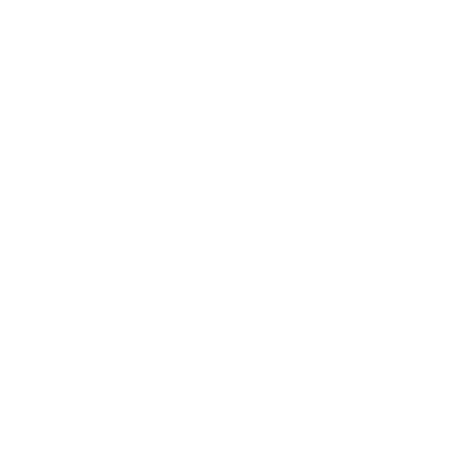 foot-04.png