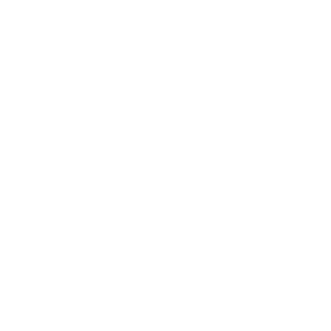 foot-06.png