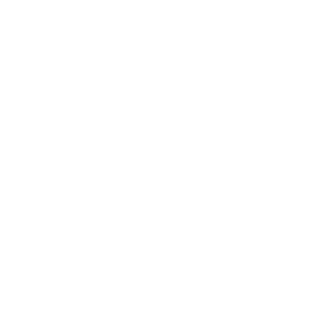 foot-08.png