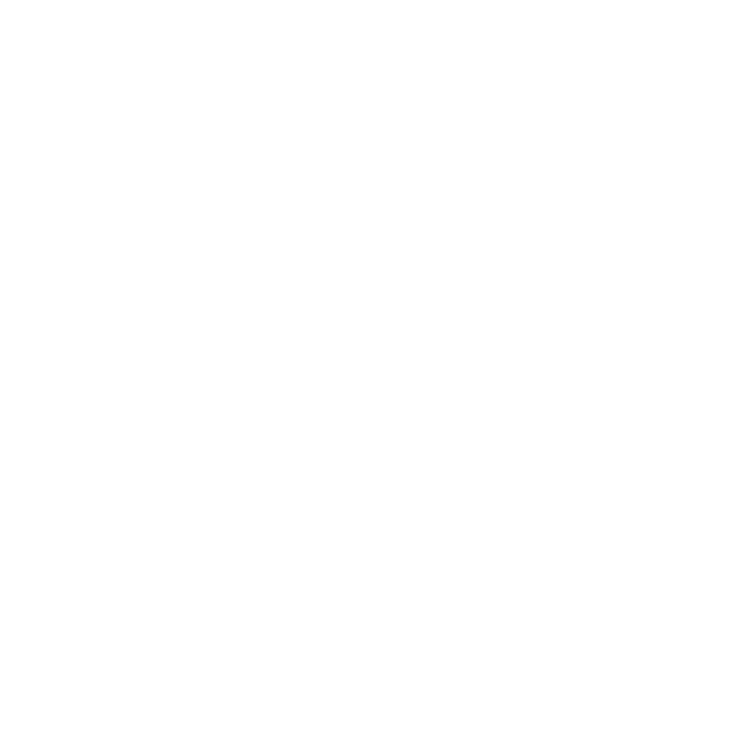 foot-10.png