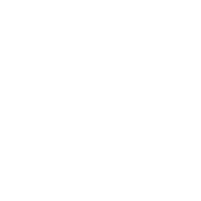foot-12.png