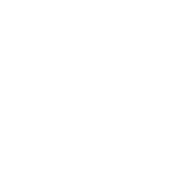 foot-13.png