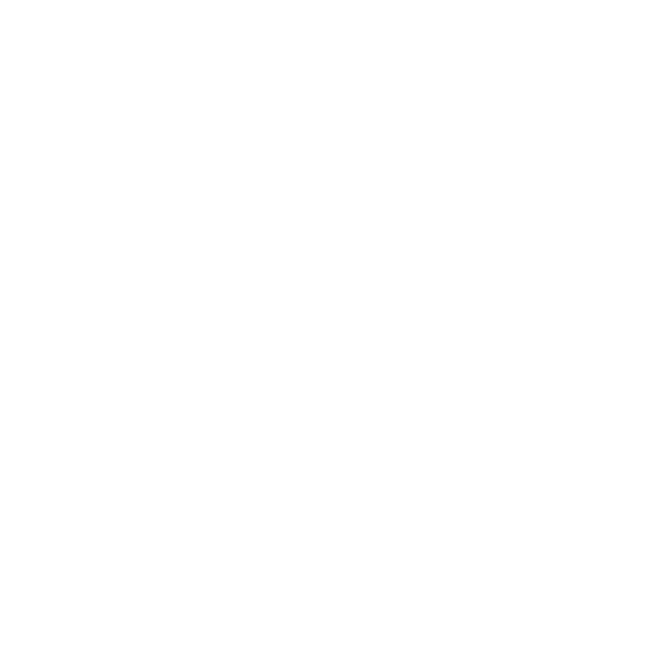 foot-14.png