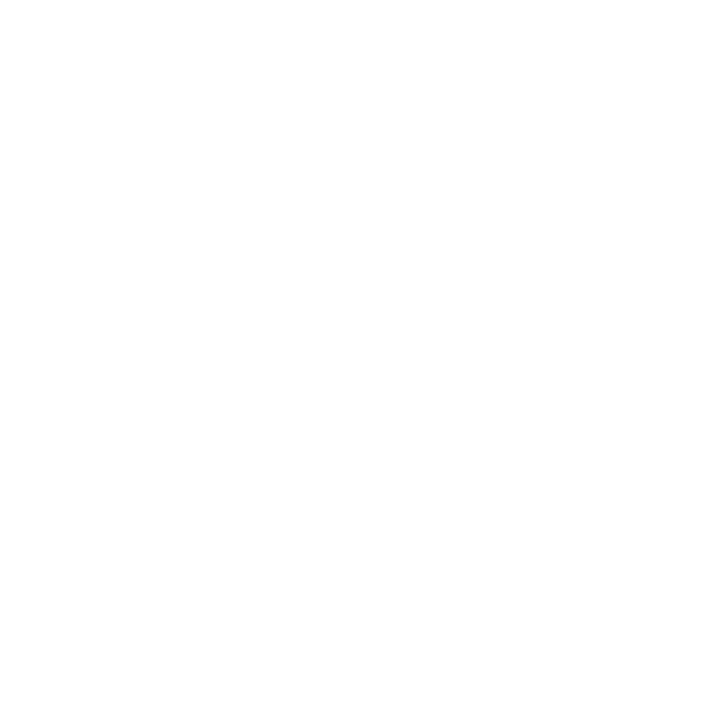 foot-16.png