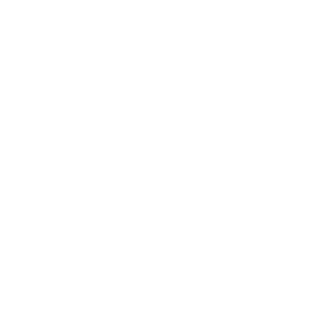 foot-23.png
