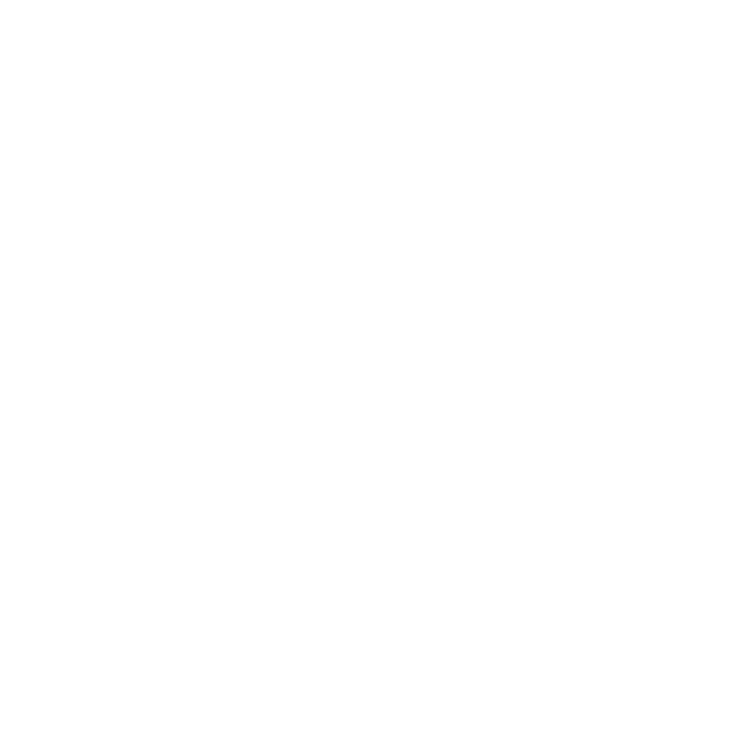 foot-24.png
