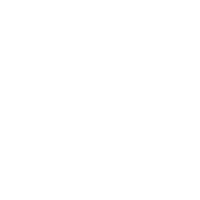 foot-27.png