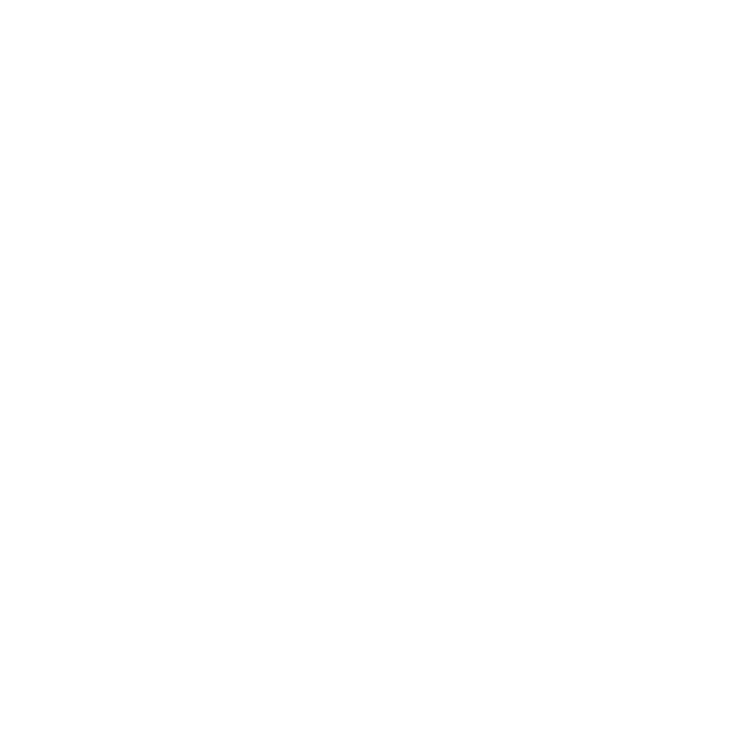 foot-29.png