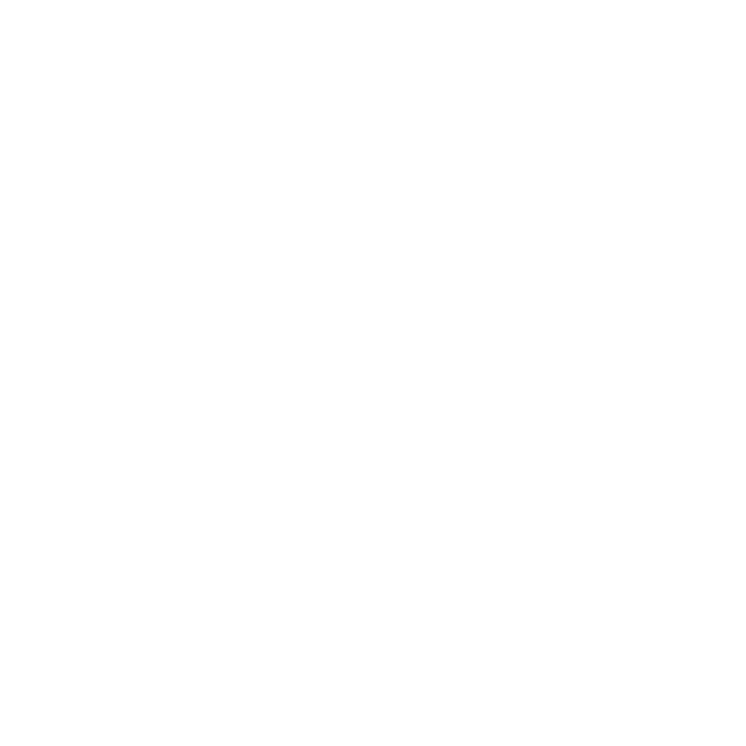 foot-30.png
