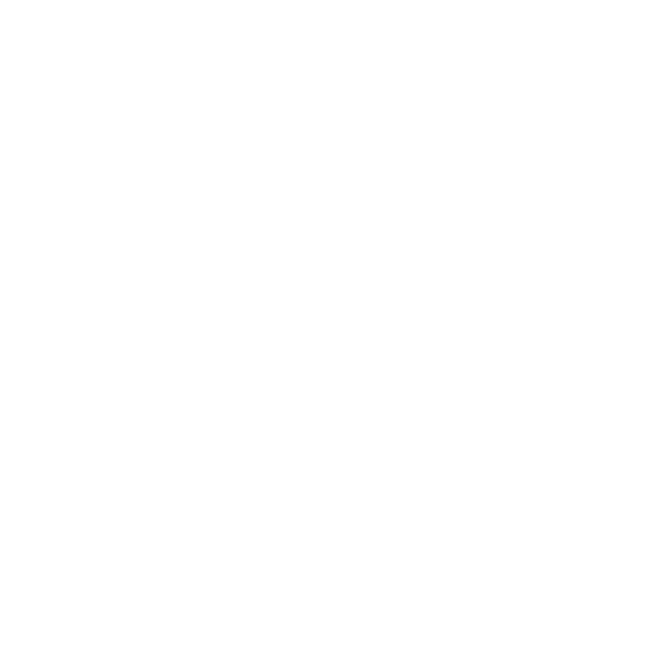 foot-33.png