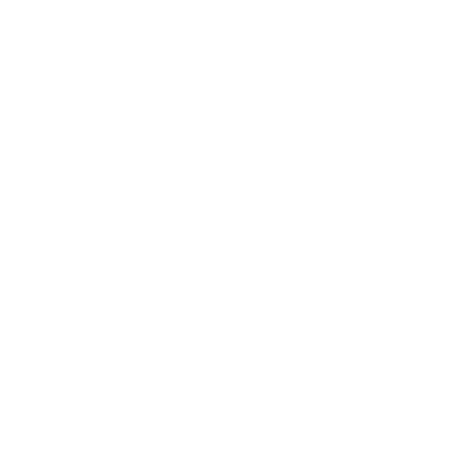 foot-35.png