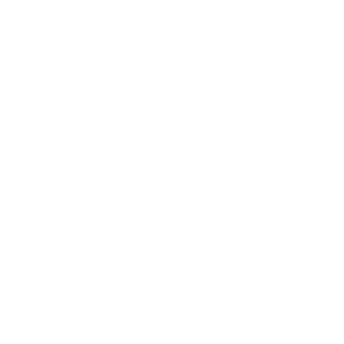 foot-40.png