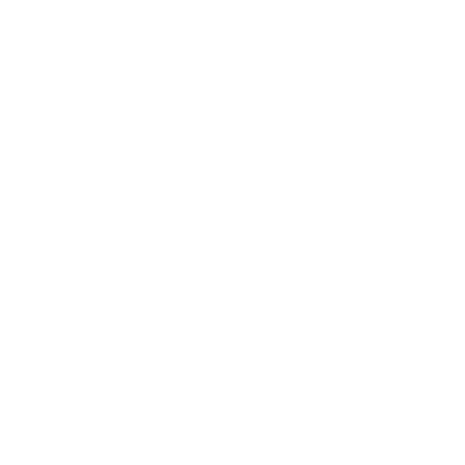 foot-41.png