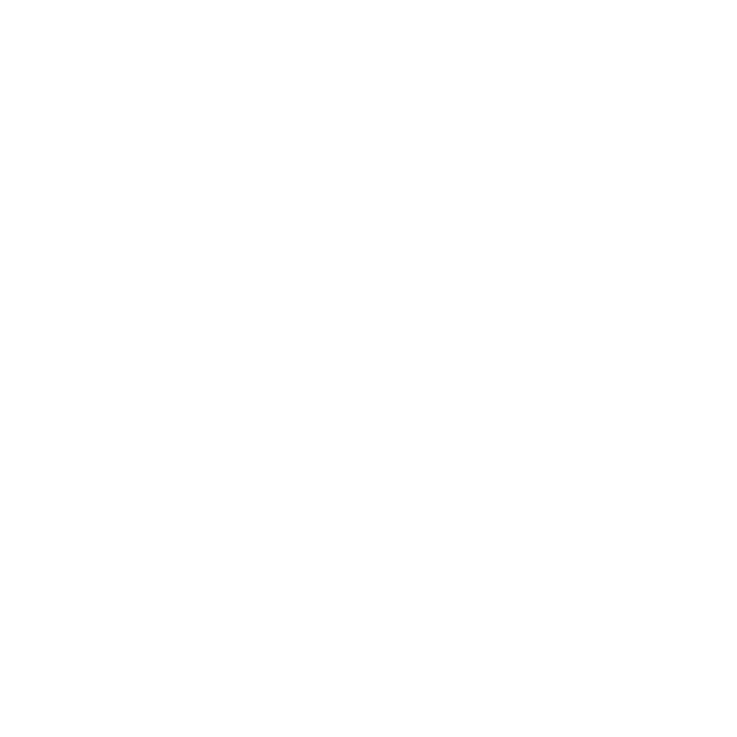 Foot-29.png